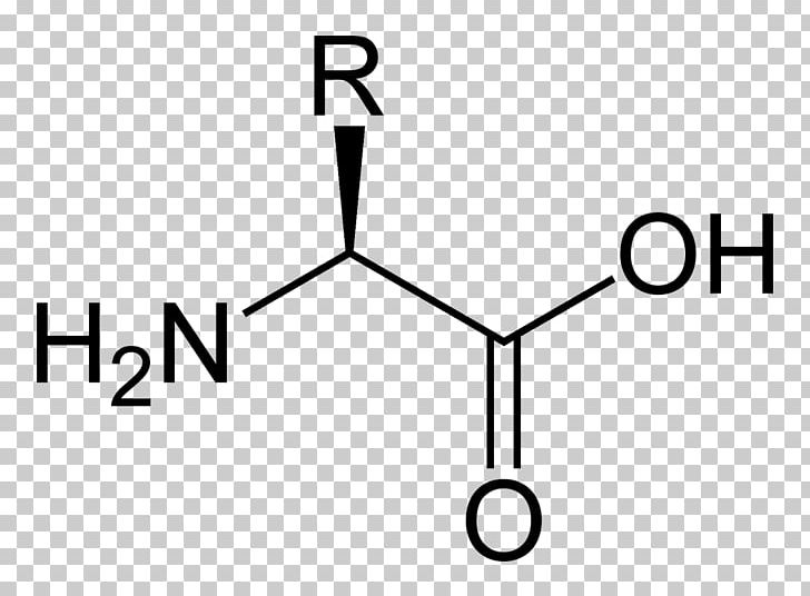 Proteinogenic Amino Acid Aspartic Acid Amine PNG, Clipart, Acid, Alanine, Amine, Amino Acid, Angle Free PNG Download