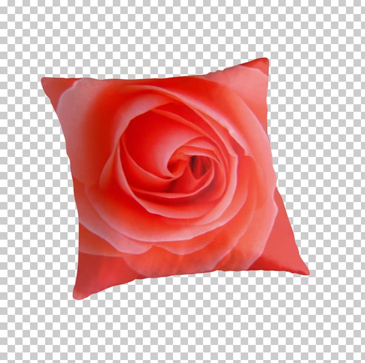 Garden Roses Throw Pillows Cushion Cut Flowers PNG, Clipart, Cushion, Cut Flowers, Flower, Furniture, Garden Free PNG Download