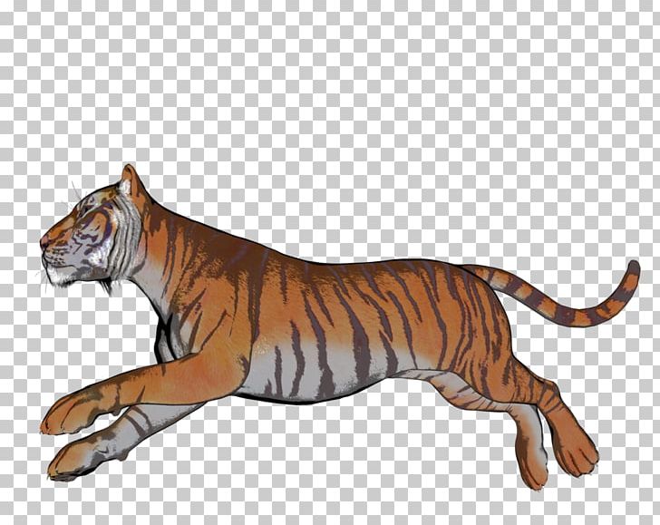 Tiger Cat Terrestrial Animal Fauna Wildlife PNG, Clipart, Animal, Animal Figure, Animals, Big Cat, Big Cats Free PNG Download