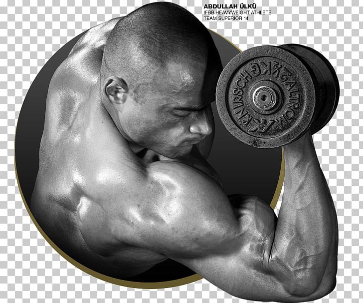 Whey Protein Whey Protein Nutrition Muscle PNG, Clipart, Abdomen, Abdullah, Amino Acid, Anabolism, Arm Free PNG Download