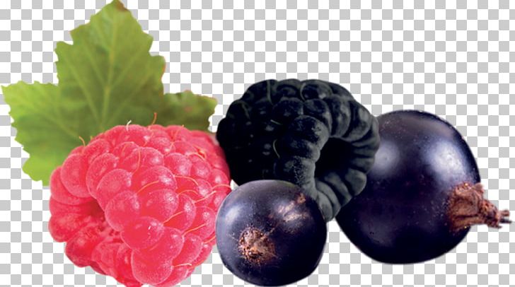 Granita Sicilian Cuisine Snow Cone Fruit Food PNG, Clipart, Auglis, Berry, Bilberry, Blackberry, Food Free PNG Download