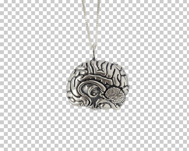 Locket Necklace Charms & Pendants Jewellery Jewelry Design PNG, Clipart, Anatomy, Charms Pendants, Clothing Accessories, Designer, Fashion Free PNG Download