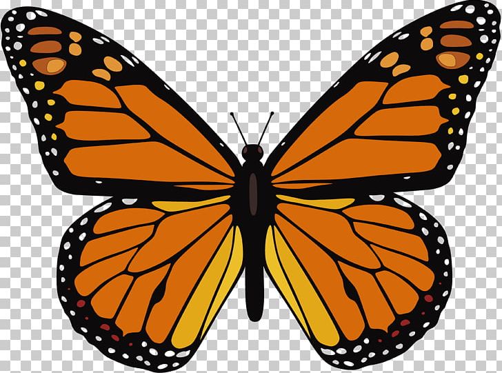 The Monarch Butterfly Insect PNG, Clipart, Animal, Animal Migration, Arthropod, Brush Footed Butterfly, Butterflies And Moths Free PNG Download