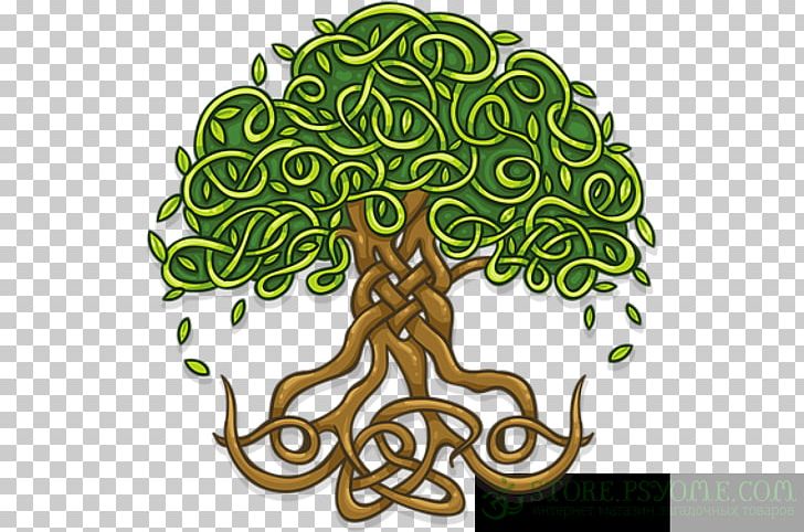 Wall Decal Tree Of Life Sticker PNG, Clipart, Branch, Celtic, Celtic Sacred Trees, Celtic Tree, Color Free PNG Download