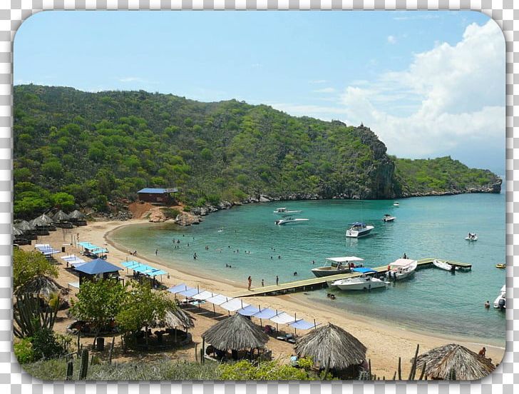 Puerto La Cruz Isla De Plata Guanta Municipality Playa Parguito Barcelona PNG, Clipart, Bay, Beach, Body Of Water, Cape, Caribbean Free PNG Download