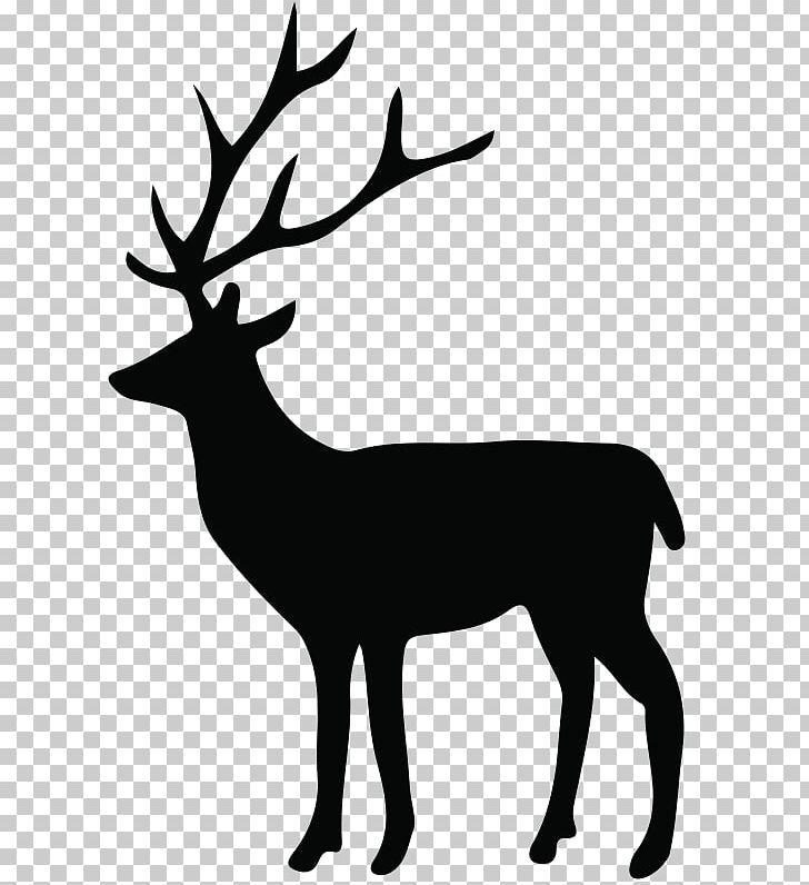 White-tailed Deer Reindeer Portable Network Graphics PNG, Clipart, Animals, Antler, Art, Biggame Hunting, Black And White Free PNG Download
