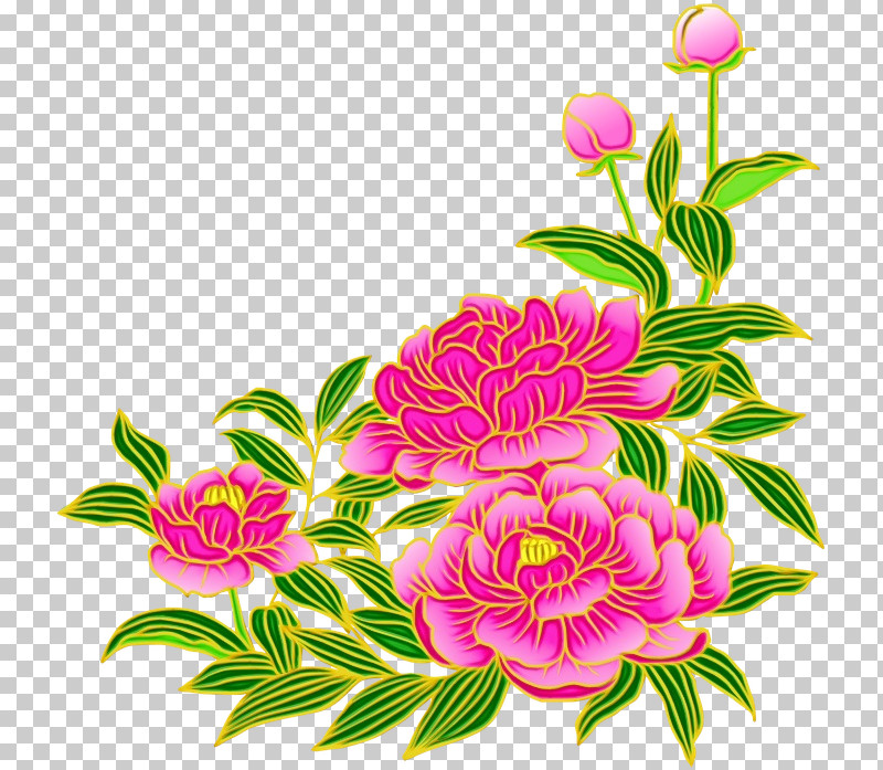 Floral Design PNG, Clipart, Carnation, Chinese Peony, Cut Flowers, Floral Design, Flower Free PNG Download