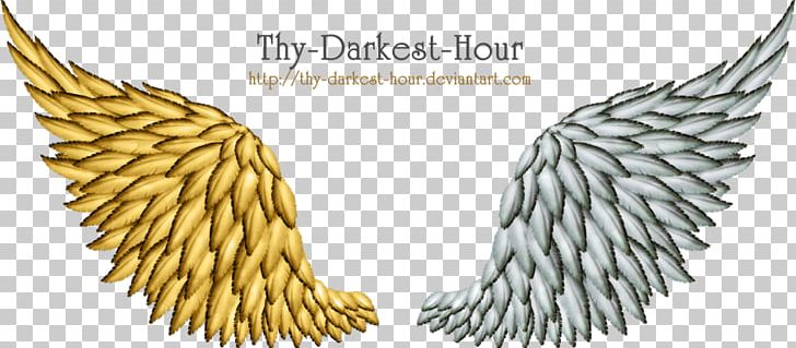 Angel Wing PNG, Clipart, Angel Wing, Beak, Darkest Hour, Download, Gold Free PNG Download
