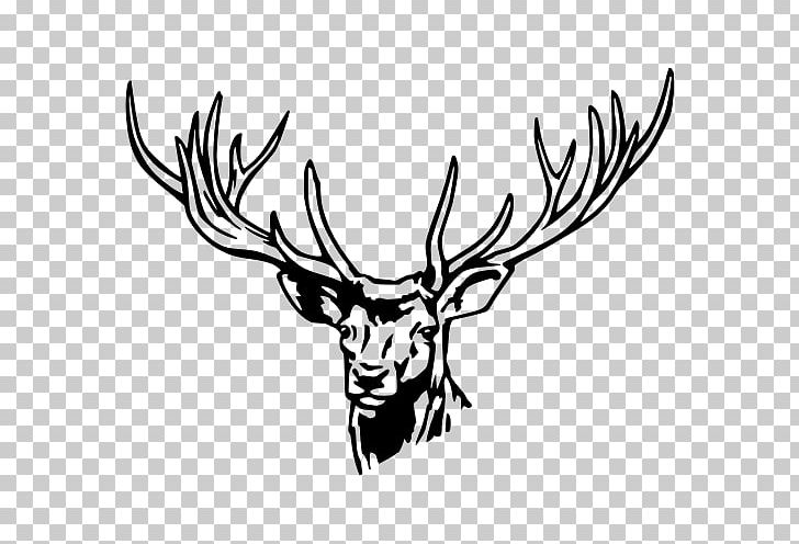 Roe Deer Wall Decal Sticker PNG, Clipart, Adhesive, Animals, Antler, Artwork, Black And White Free PNG Download