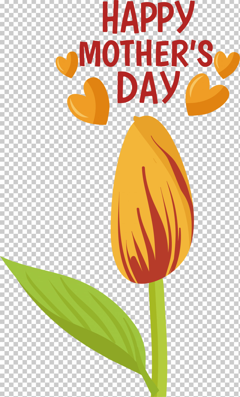 Plant Stem Cut Flowers Tulip Flower Petal PNG, Clipart, Birthday, Cut Flowers, Flower, Happiness, Petal Free PNG Download