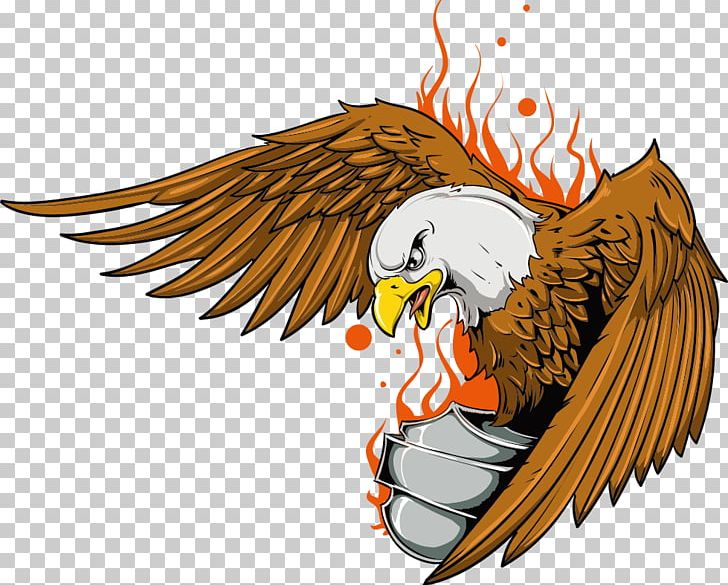 Old School (tattoo) Eagle PNG, Clipart, Animal Print, Art, Bald Eagle, Beak, Bird Free PNG Download