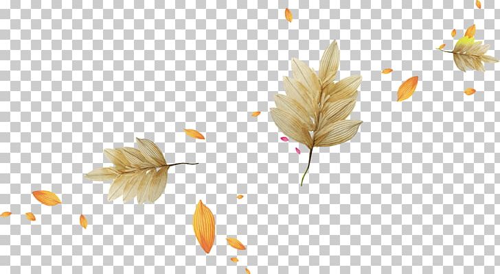 Photography Bit PNG, Clipart, Autumn, Autumn Leaves, Bit, Branch, Computer Wallpaper Free PNG Download