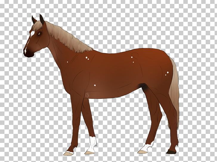 Trakehner American Paint Horse Andalusian Horse Foal Stallion PNG, Clipart, Andalusian Horse, Breed, Bridle, Cowherd And The Weaver Girl, Equestrian Free PNG Download