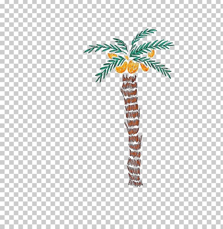 Tree Coconut Illustration PNG, Clipart, Arecaceae, Balloon Cartoon, Branch, Cartoon Couple, Cartoon Eyes Free PNG Download
