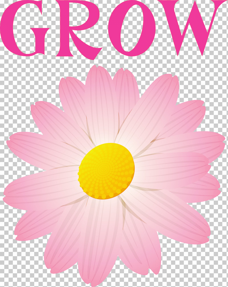 GROW Flower PNG, Clipart, Chrysanthemum, Flower, Garden, Grow, Landscape Free PNG Download