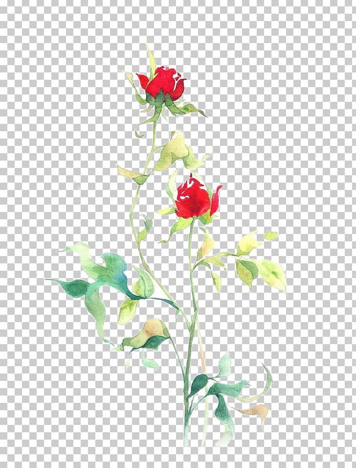 Beach Rose Flower Petal Floral Design Illustration PNG, Clipart, Artificial Flower, Cut Flowers, Flora, Flower, Flower Arranging Free PNG Download