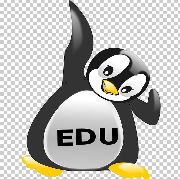 Edulogo King Penguin Scalable Graphics Desktop PNG, Clipart, Beak, Bird, Cape Town, Desktop Environment, Desktop Wallpaper Free PNG Download