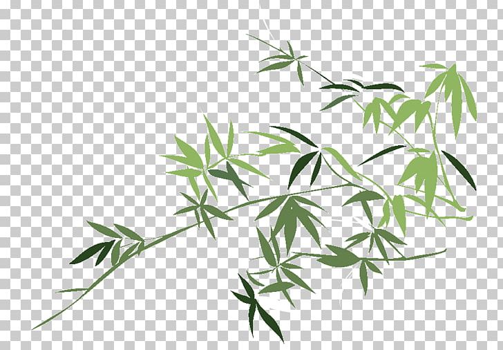 Leaf Bamboo Chusquea Culeou Drawing Plant PNG, Clipart, Bamboe, Bamboo, Branch, Chusquea Culeou, Drawing Free PNG Download