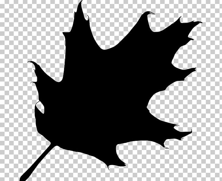 Oak Silhouette Tree PNG, Clipart, Acorn, Animals, Artwork, Black, Black And White Free PNG Download