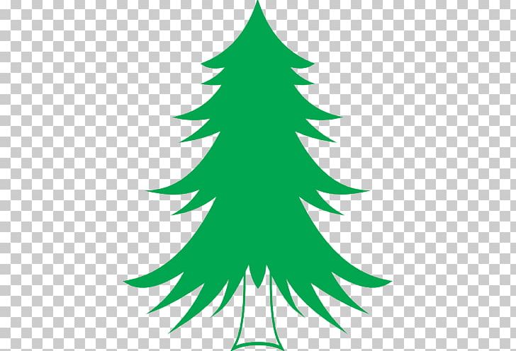 Spruce Pine Tree Abies Alba Langenscheidt Vokabeltrainer PNG, Clipart, Branch, Christmas Decoration, Christmas Ornament, Christmas Tree, Conifer Free PNG Download