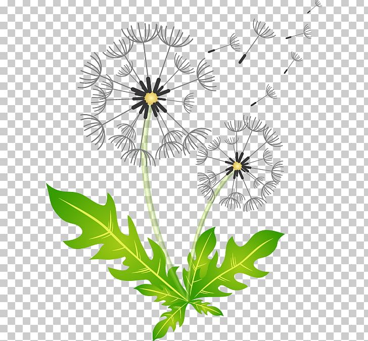 Dandelion Illustration PNG, Clipart, Branch, Cartoon, Dahlia, Daisy Family, Flower Free PNG Download
