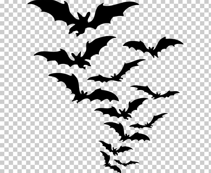 Halloween PNG, Clipart, Artwork, Bat, Black And White, Branch, Costume Free PNG Download