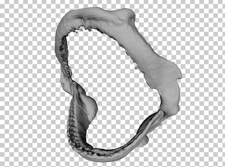Silver Body Jewellery Jaw PNG, Clipart, Black And White, Body Jewellery, Body Jewelry, Jaw, Jewellery Free PNG Download