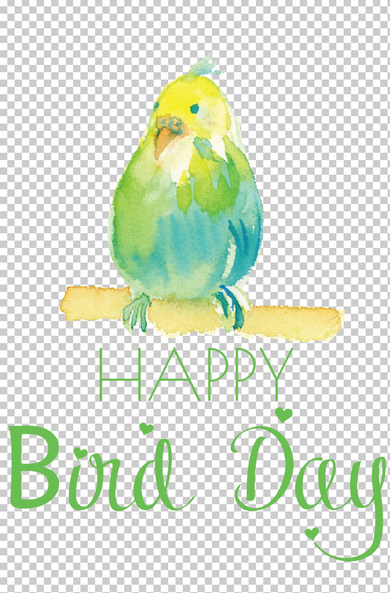Bird Day Happy Bird Day International Bird Day PNG, Clipart, Beak, Biology, Bird Day, Birds, Burger King Free PNG Download