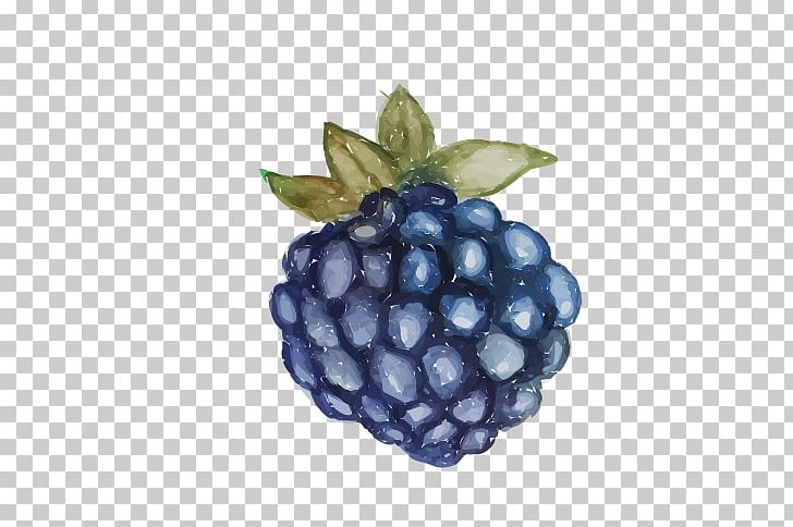 Grape Euclidean PNG, Clipart, Adobe Illustrator, Berry, Bilberry, Blackberry, Blueberry Free PNG Download