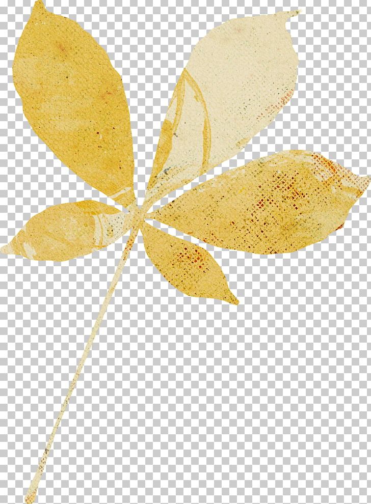 Leaf Photography Portable Network Graphics Осенние листья PNG, Clipart, Branch, Cec, Chestnut, Creativity, E 3 Free PNG Download