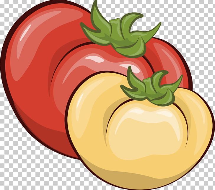Tomato Vegetable Food Illustration PNG, Clipart, Bell Pepper, Carrot, Chili Pepper, Diet Food, Food Free PNG Download
