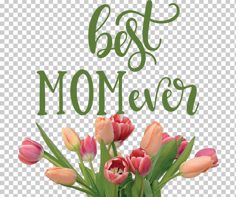 Mothers Day Best Mom Ever Mothers Day Quote PNG, Clipart, Best Mom Ever, Color, Cut Flowers, Floral Design, Flower Free PNG Download