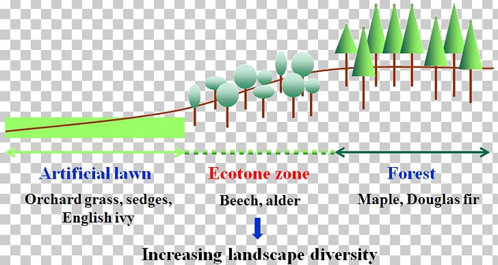 Ecotone Population Ecology Ecosystem Biology PNG, Clipart, Angle, Area, Biology, Community, Concept Free PNG Download