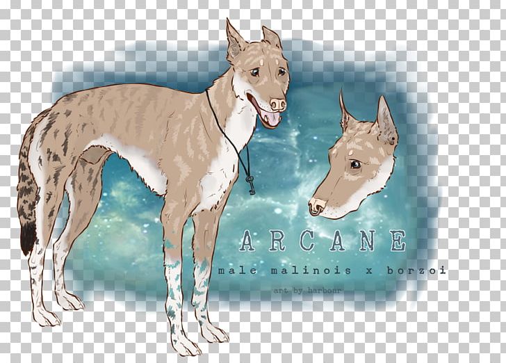 Italian Greyhound Whippet Spanish Greyhound Ibizan Hound PNG, Clipart, Arcane, Breed, Carnivoran, Dog, Dog Breed Free PNG Download