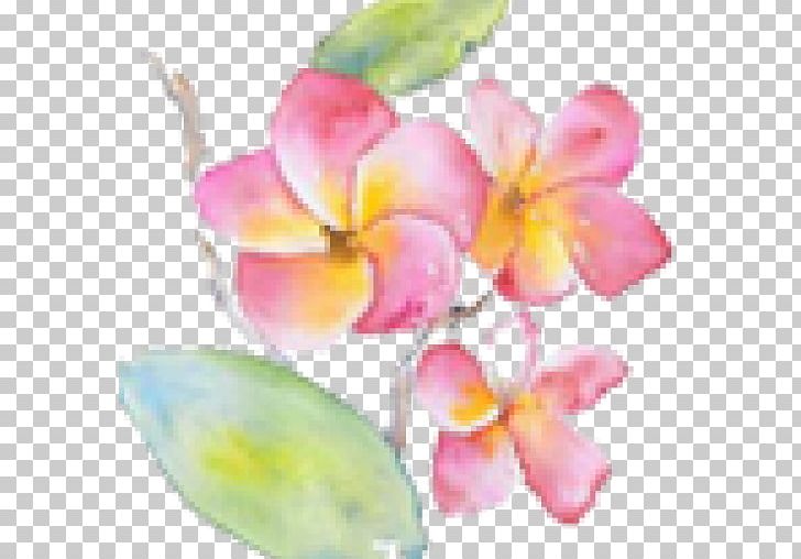 Watercolor Painting Art Printmaking Botanical Illustration PNG, Clipart, Art, Artist, Blossom, Botanical Illustration, Color Free PNG Download