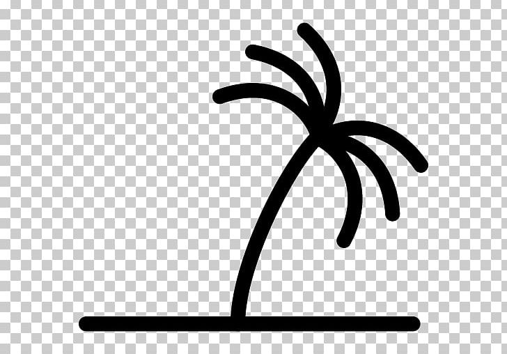 Computer Icons Arecaceae Tree PNG, Clipart, Area, Arecaceae, Artwork, Black And White, Coconut Free PNG Download