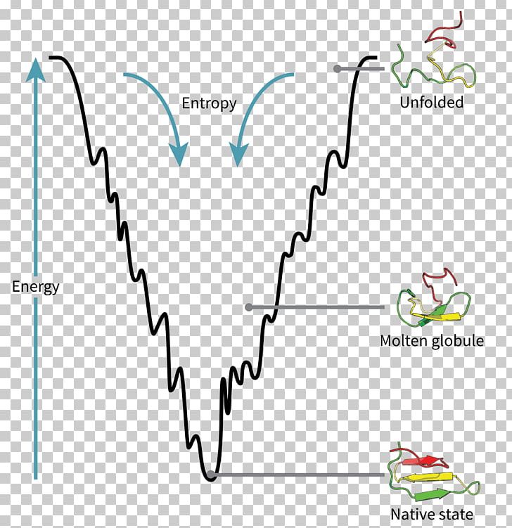 Protein Folding Folding Funnel Energy Landscape PNG, Clipart, Angle, Area, Biology, Diagram, Energy Free PNG Download