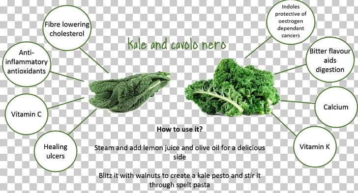 Vegetable Cabbage Produce Lacinato Kale Beetroot PNG, Clipart, Beetroot, Cabbage, Carrot, Celeriac, Cooking Free PNG Download