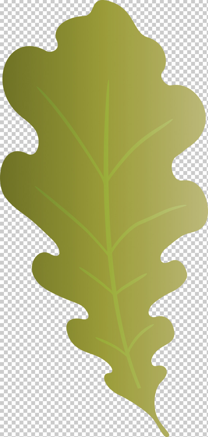 Oak Leaf PNG, Clipart, Biology, Leaf, Oak Leaf, Plants, Plant Structure Free PNG Download