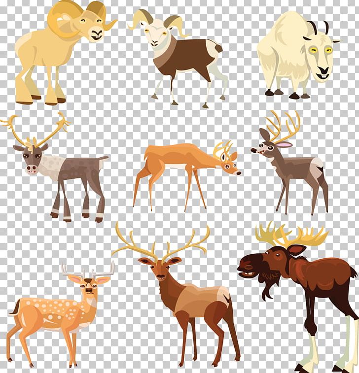 Antelope Elk Moose Deer Ungulate PNG, Clipart, Animal, Animals, Antelope, Antler, Christmas Deer Free PNG Download