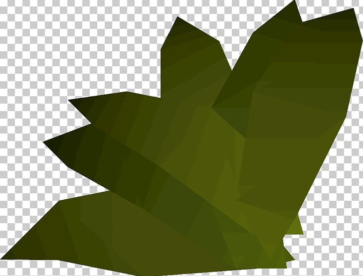 Old School RuneScape Wikia Herb PNG, Clipart, Angle, Fandom, Grass, Green, Herb Free PNG Download