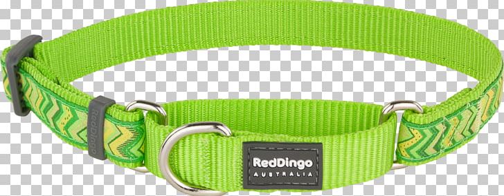 Dog Collar Martingale Dingo Red PNG, Clipart, Buckle, Clothing, Clothing Accessories, Collar, Dingo Free PNG Download
