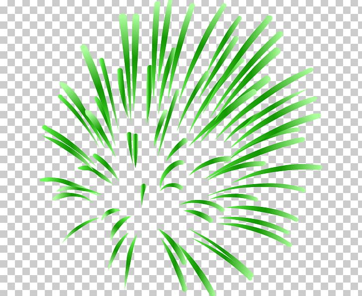 Fireworks PNG, Clipart, Adobe Illustrator, Animation, Arecales, Cartoon, Cartoon Fireworks Free PNG Download