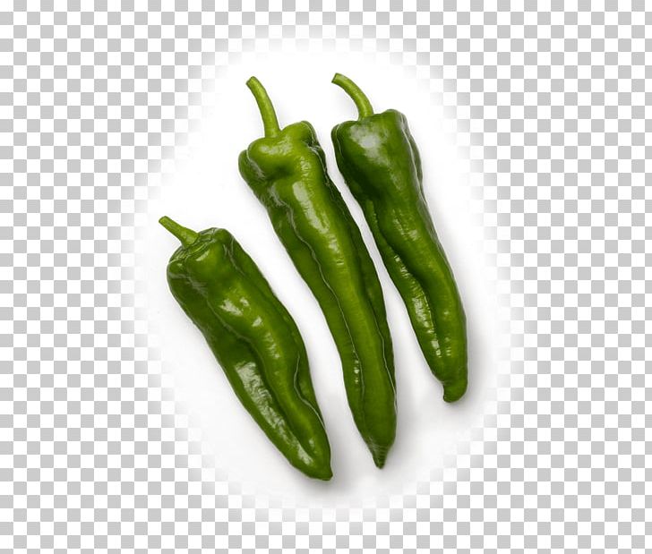 Habanero Bell Pepper Jalapeño Poblano Serrano Pepper PNG, Clipart,  Free PNG Download