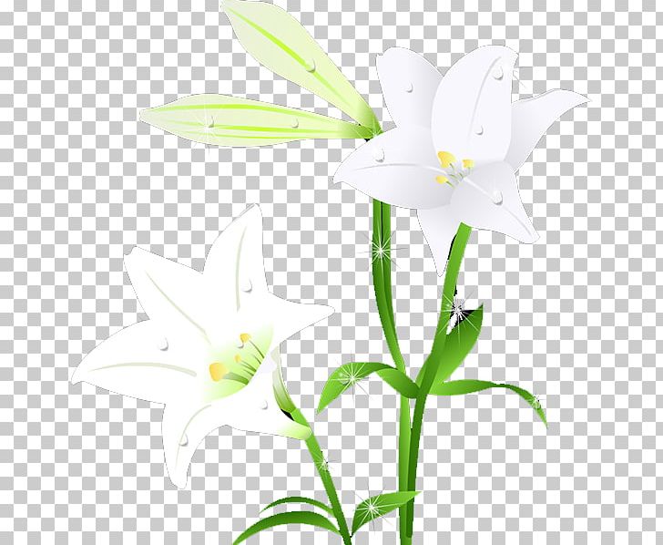 Leaf Landscape Floral Design Green PNG, Clipart, Blue, Branch, Calla Lily, Decoration, Download Free PNG Download