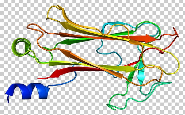 F-box Protein Fbx15 Gene Protein Domain PNG, Clipart, Amino Acid, Amyloid, Area, Artwork, Fbox Protein Free PNG Download