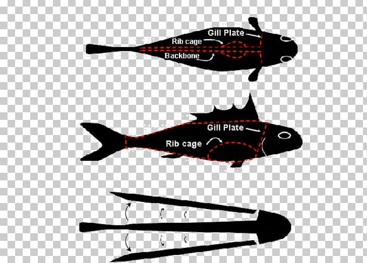 Catfish Helicopter Airplane Cleaning PNG, Clipart, Aircraft, Airplane, Catfish, Cleaning, Diagram Free PNG Download