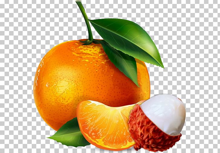 Drawing PNG, Clipart, Cartoon, Chenpi, Citric Acid, Citrus, Clementine Free PNG Download