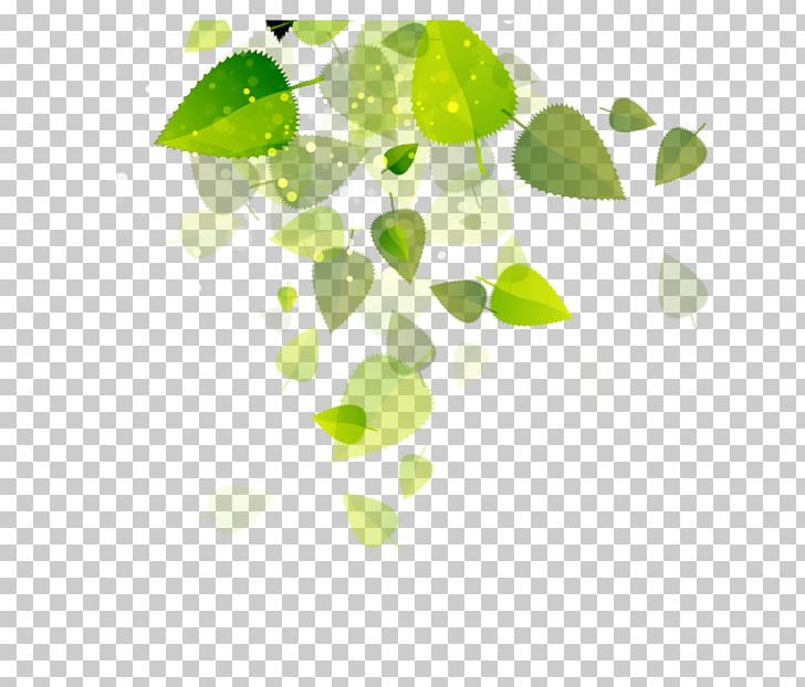 Ecosystem Services Methodology Biodiversity Ecology PNG, Clipart, Aluminium, Biodiversity, Branch, Cartoon Green Leaves, Chemical Element Free PNG Download
