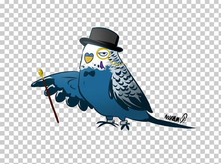 Budgerigar Beak Feather Budgie Dance Pumpkin PNG, Clipart,  Free PNG Download